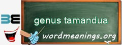 WordMeaning blackboard for genus tamandua